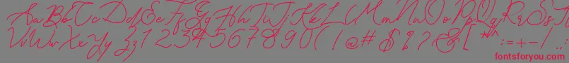 Kanaggawa Font – Red Fonts on Gray Background