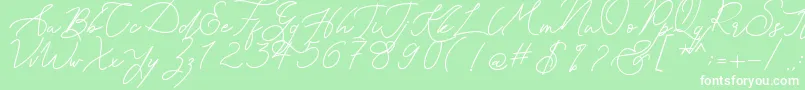 Kanaggawa Font – White Fonts on Green Background