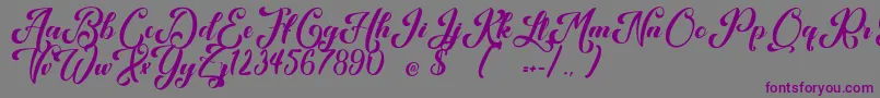 Шрифт Kansha – фиолетовые шрифты на сером фоне