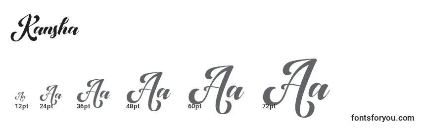 Kansha Font Sizes