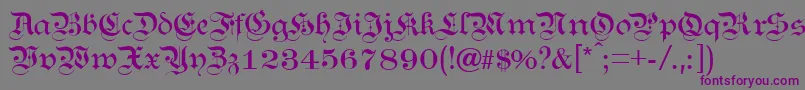 KANZL    Font – Purple Fonts on Gray Background