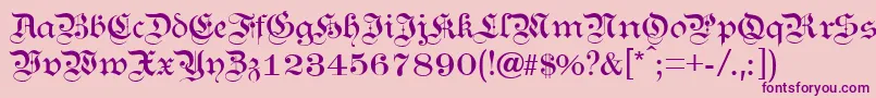 KANZL   -Schriftart – Violette Schriften auf rosa Hintergrund