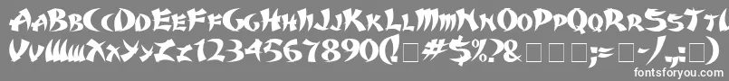 Karate Font – White Fonts on Gray Background