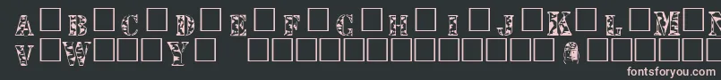 MacMarines Font – Pink Fonts on Black Background