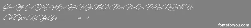 Karl Geoff Personal use-Schriftart – Weiße Schriften auf grauem Hintergrund
