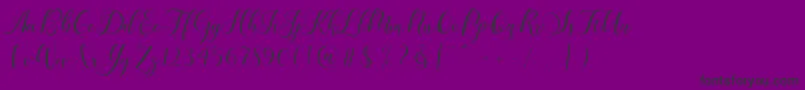 Karliyna Script Font – Black Fonts on Purple Background