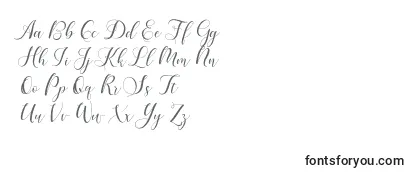 Review of the Karliyna Script Font