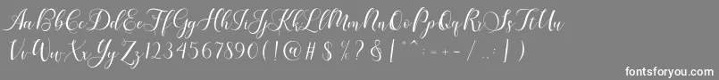 フォントKarliyna Script – 灰色の背景に白い文字