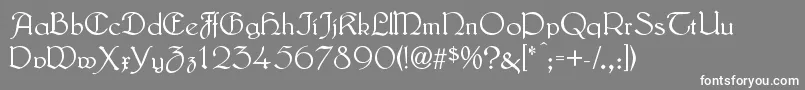 LautenbachAlternate Font – White Fonts on Gray Background