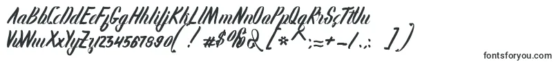 Karlote Font – Handwritten Fonts