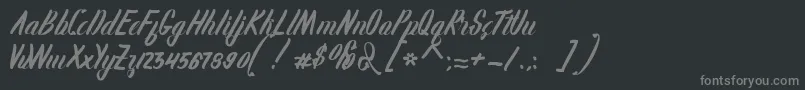 フォントKarlote – 黒い背景に灰色の文字