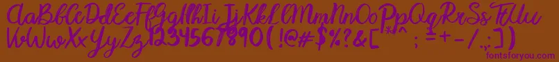 Karmany Regular Font – Purple Fonts on Brown Background