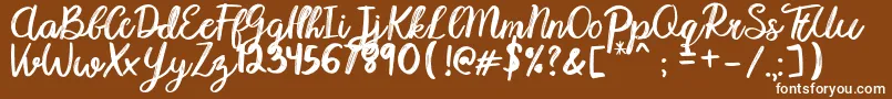 Karmany Regular Font – White Fonts on Brown Background