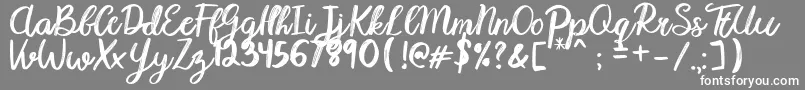 Karmany Regular Font – White Fonts on Gray Background