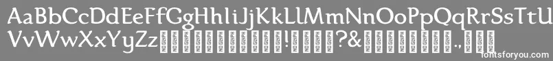 Karolina DEMO Regular-Schriftart – Weiße Schriften auf grauem Hintergrund