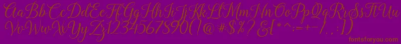 Kasandra Script-fontti – ruskeat fontit violetilla taustalla