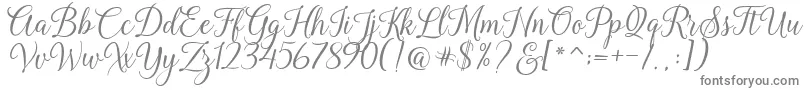 Kasandra Script Font – Gray Fonts on White Background