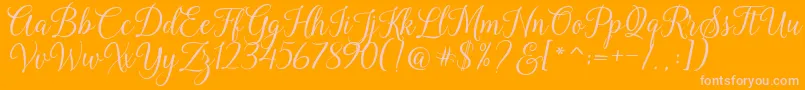 Kasandra Script Font – Pink Fonts on Orange Background