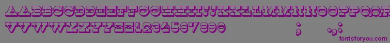 Kaspiysk Font – Purple Fonts on Gray Background