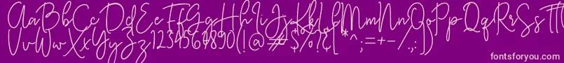 KastingScript Font – Pink Fonts on Purple Background