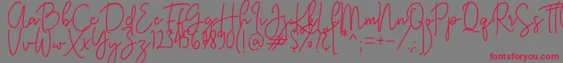 KastingScript Font – Red Fonts on Gray Background