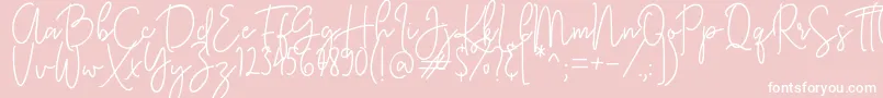 KastingScript Font – White Fonts on Pink Background