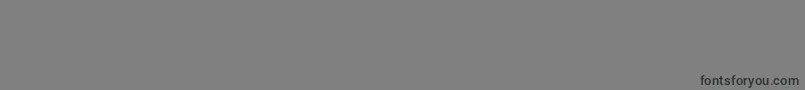 katakana Font – Black Fonts on Gray Background