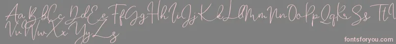 fuente Katalia – Fuentes Rosadas Sobre Fondo Gris