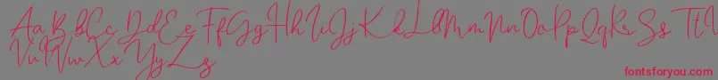 Katalia Font – Red Fonts on Gray Background