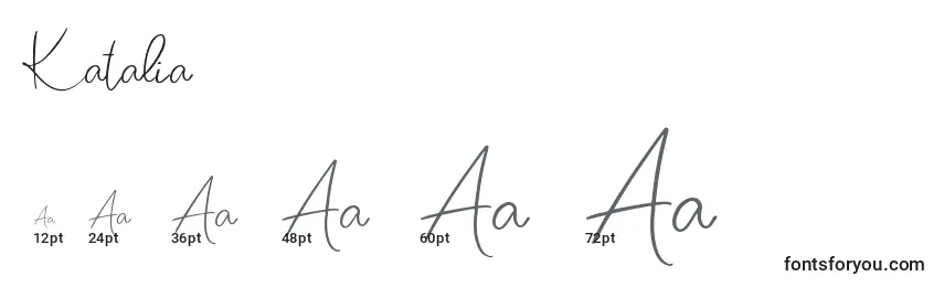 Размеры шрифта Katalia