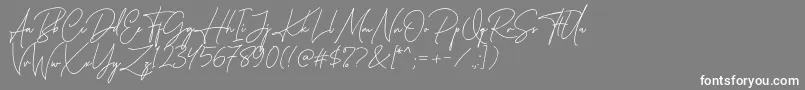 フォントKatherine Free – 灰色の背景に白い文字