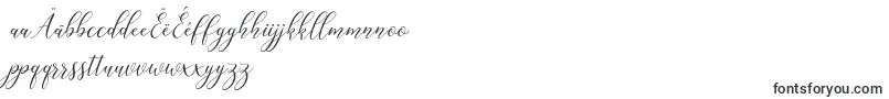 Katlyne Font – Macedonian Fonts