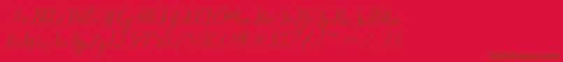 Katlyne Font – Brown Fonts on Red Background