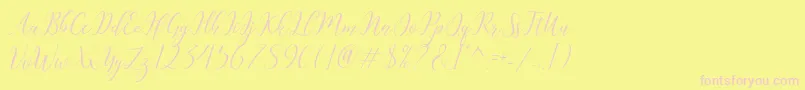 Katlyne Font – Pink Fonts on Yellow Background