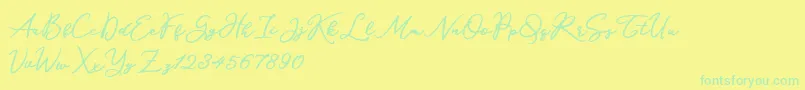 Katrine Holland Font – Green Fonts on Yellow Background