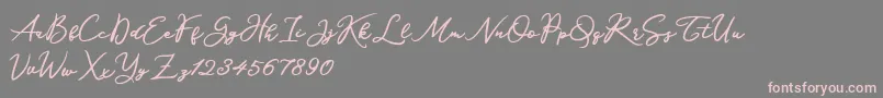 Katrine Holland Font – Pink Fonts on Gray Background