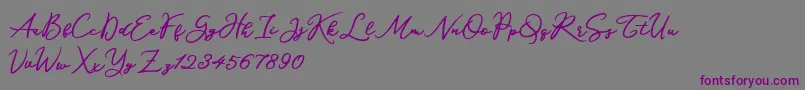 Katrine Holland Font – Purple Fonts on Gray Background