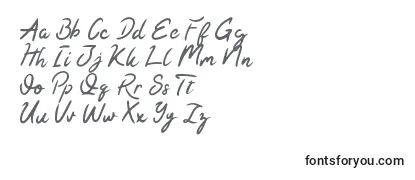 Überblick über die Schriftart Kaysan Signature