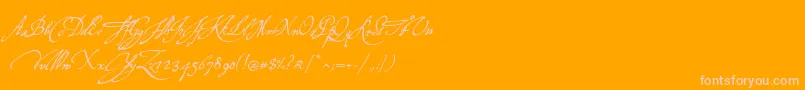 P22virginian-Schriftart – Rosa Schriften auf orangefarbenem Hintergrund