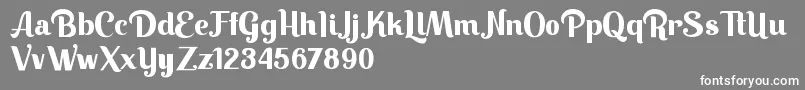 Keilla-Schriftart – Weiße Schriften auf grauem Hintergrund