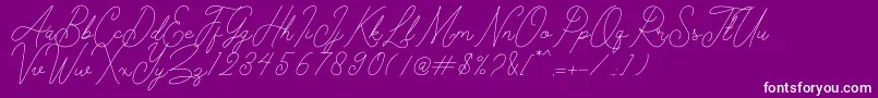 Kelony Font – White Fonts on Purple Background