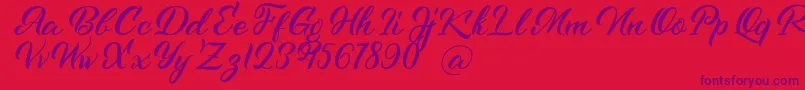 Kenshington Font – Purple Fonts on Red Background