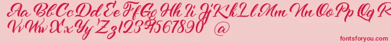 Kenshington Font – Red Fonts on Pink Background