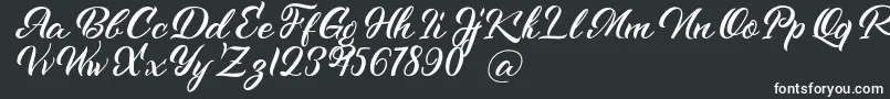 Kenshington Font – White Fonts