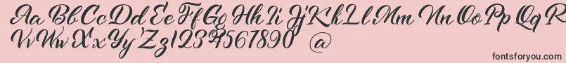 Kenshington Font – Black Fonts on Pink Background