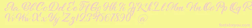 Kenshington Font – Pink Fonts on Yellow Background