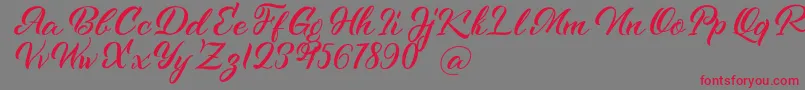 Kenshington-Schriftart – Rote Schriften auf grauem Hintergrund
