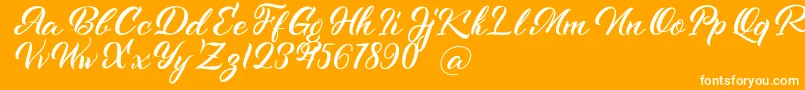 Kenshington Font – White Fonts on Orange Background