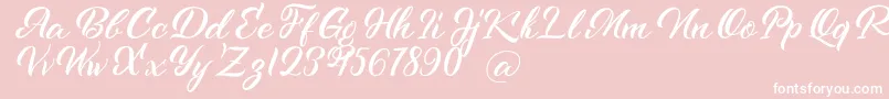Kenshington Font – White Fonts on Pink Background