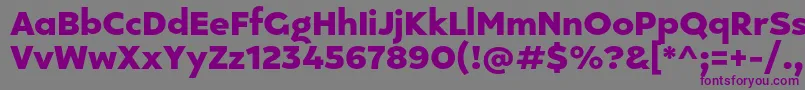 Kepler 296 Personal use Font – Purple Fonts on Gray Background